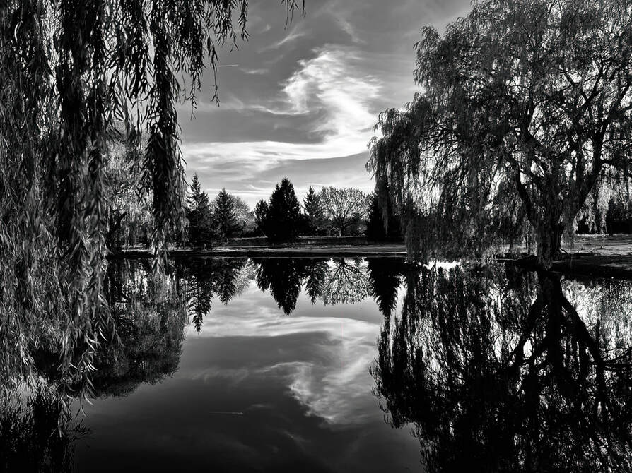 Picture